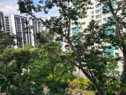 Blk 246 Yishun Sunshine (Yishun), HDB 4 Rooms #574688451